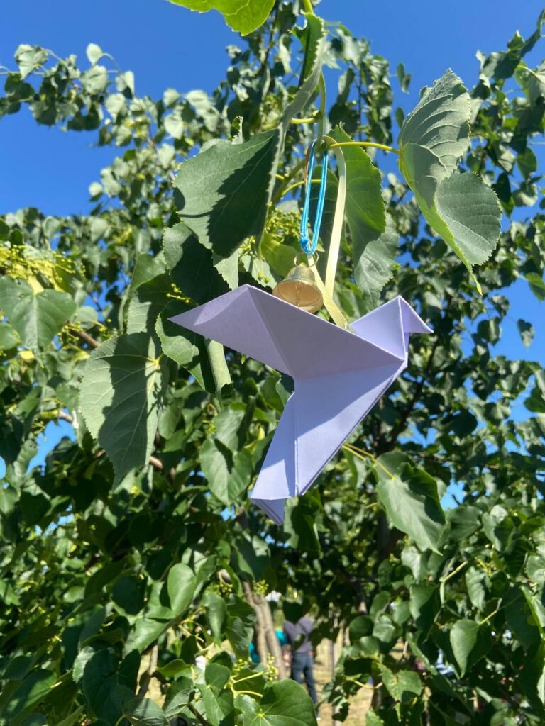 photo 2023 06 04 13 14 08