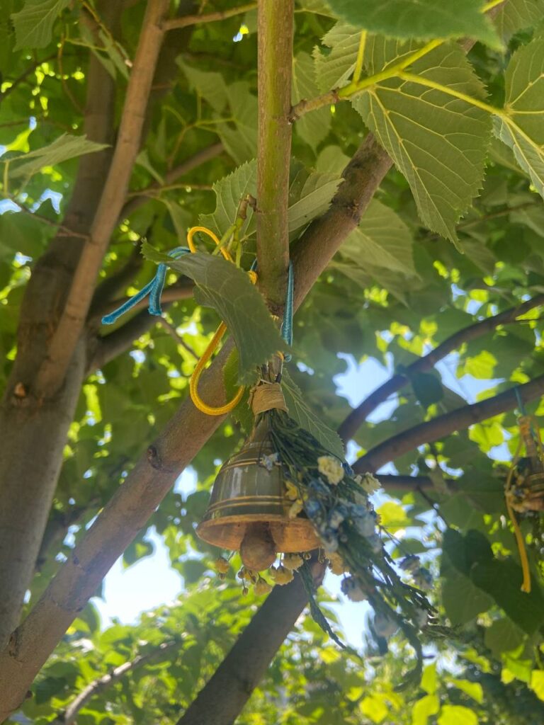 photo 2023 06 04 13 14 11 2