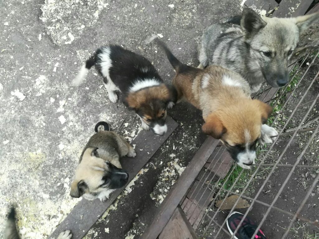 photo 2023 06 05 22 57 36