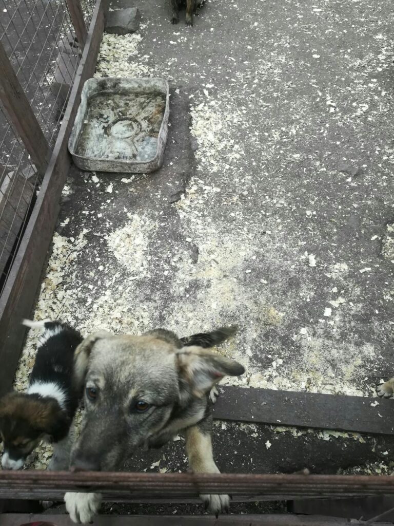 photo 2023 06 05 22 57 49