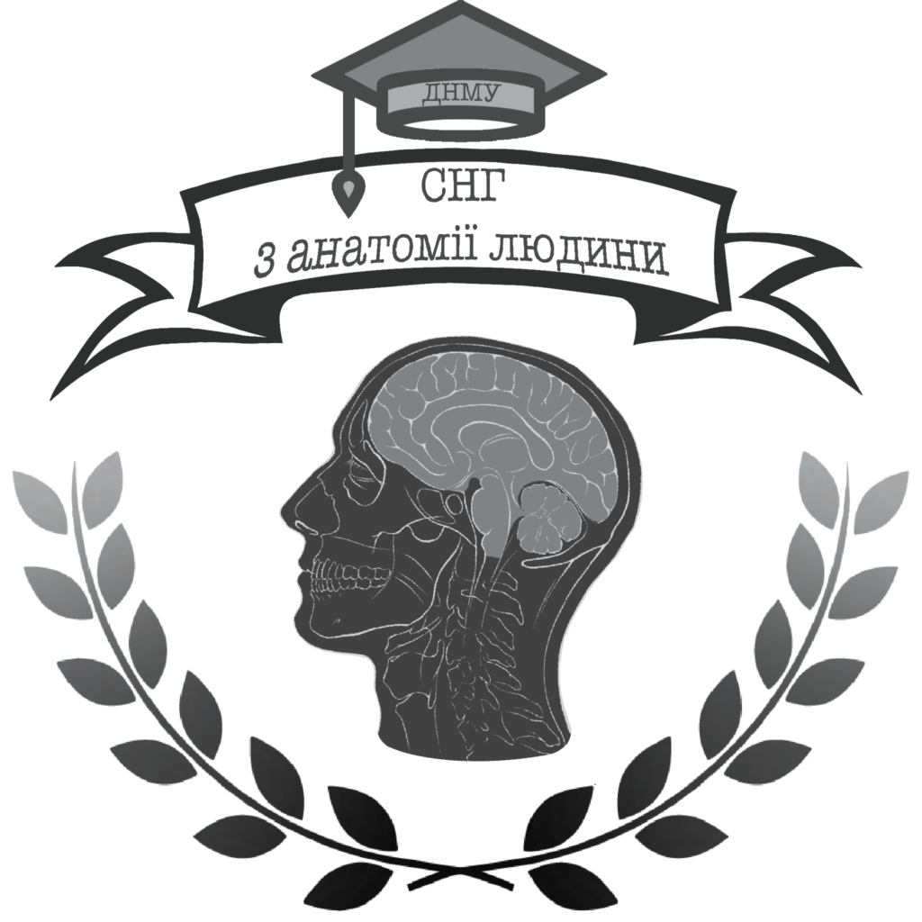 kopyya anatomiya